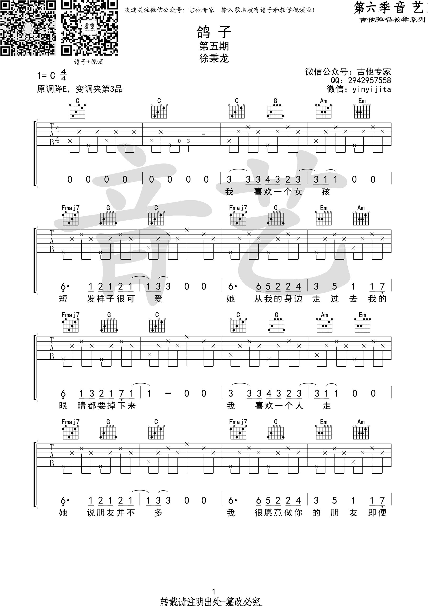 鸽子吉他谱图片