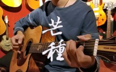 芒种吉他谱-赵方婧-指弹谱音阙诗听吉他独奏曲/指弹吉他谱指弹演示视频